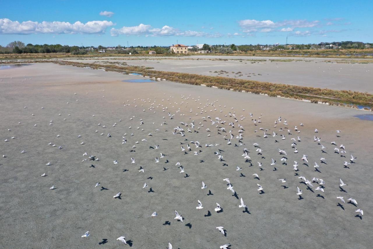 Sirena Apartments Llido Degli Estensi Dış mekan fotoğraf